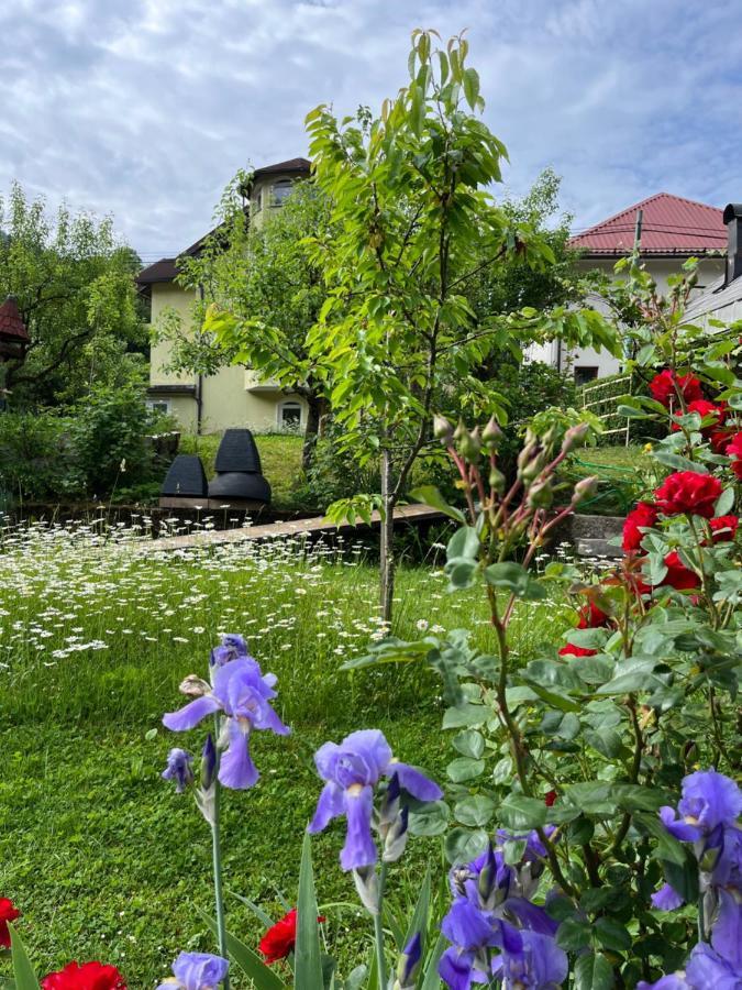 Riverside Villa Avo - Apartment Sara Spodnja Idrija Exterior foto